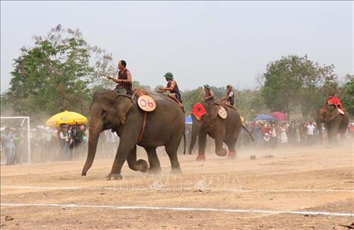 Pha tranh chấp bóng trong phần thi voi đá bóng. Ảnh: Tuấn Anh - TTXVN Pha tranh chấp bóng trong phần thi voi đá bóng. Ảnh: Tuấn Anh - TTXVN Pha khống chế bóng tốt của “vận động viên voi” trong phần thi voi đá bóng. Ảnh: Tuấn Anh - TTXVN Phần thi voi chạy đua tại Hội voi. Ảnh: Tuấn Anh - TTXVN Voi tăng tốc cán đích. Ảnh: Tuấn Anh - TTXVN Voi tăng tốc cán đích. Ảnh: Tuấn Anh - TTXVN Voi tăng tốc cán đích. Ảnh: Tuấn Anh - TTXVN Voi dự tiệc “bufet” sau phần thi chạy đua. Ảnh: Tuấn Anh - TTXVN Pha tranh chấp bóng trong phần thi voi đá bóng. Ảnh: Tuấn Anh - TTXVN Pha tranh chấp bóng trong phần thi voi đá bóng. Ảnh: Tuấn Anh - TTXVN Pha khống chế bóng tốt của “vận động viên voi” trong phần thi voi đá bóng. Ảnh: Tuấn Anh - TTXVN Phần thi voi chạy đua tại Hội voi. Ảnh: Tuấn Anh - TTXVN Voi tăng tốc cán đích. Ảnh: Tuấn Anh - TTXVN Voi tăng tốc cán đích. Ảnh: Tuấn Anh - TTXVN Voi tăng tốc cán đích. Ảnh: Tuấn Anh - TTXVN Voi dự tiệc “bufet” sau phần thi chạy đua. Ảnh: Tuấn Anh - TTXVN