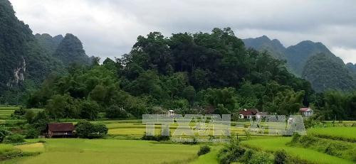 Cánh đồng lúa nếp Pì Pất. Ảnh: Quốc Đạt/Trung Nguyên - TTXVN Sông Quây Sơn, nơi con nước chảy xuôi, tạo thành thác Bản Giốc. Ảnh: Quốc Đạt/Trung Nguyên - TTXVN Thác Bản Giốc. Ảnh: Quốc Đạt/Trung Nguyên - TTXVN Cánh đồng lúa nếp Pì Pất. Ảnh: Quốc Đạt/Trung Nguyên - TTXVN Sông Quây Sơn, nơi con nước chảy xuôi, tạo thành thác Bản Giốc. Ảnh: Quốc Đạt/Trung Nguyên - TTXVN Thác Bản Giốc. Ảnh: Quốc Đạt/Trung Nguyên - TTXVN