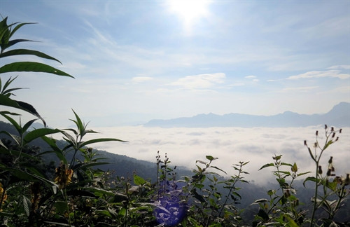 "Biển" mây trắng xóa ngập cả một vùng trời.