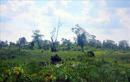 Toàn cảnh di tích Sở chỉ huy - Nơi công bố Quyết định thành lập Quân đoàn 3. Ảnh: TTXVN phát Toàn cảnh di tích Sở chỉ huy - Nơi công bố Quyết định thành lập Quân đoàn 3. Ảnh: TTXVN phát