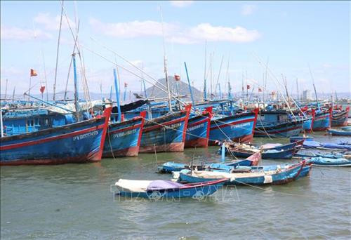 Tàu cá của ngư dân tỉnh Phú Yên nêu đậu tại cảng cá Đông Tác, thành phố Tuy Hòa. Ảnh: Phạm Cường - TTXVN Tàu cá của ngư dân tỉnh Phú Yên nêu đậu tại cảng cá Đông Tác, thành phố Tuy Hòa. Ảnh: Phạm Cường - TTXVN