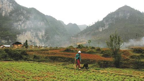 Phó Bảng - thị trấn miền cổ tích ảnh 4