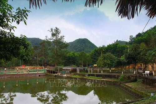 Chốt Đồi Quế (chốt cao điểm của trận chiến - nơi chiến sĩ Pò Hèn hy sinh nhiều nhất) nhìn từ đồn biên phòng Pò Hèn, tháng 2/2019. Ảnh: Trung Nguyên-TTXVN Chốt Đồi Quế (chốt cao điểm của trận chiến - nơi chiến sĩ Pò Hèn hy sinh nhiều nhất) nhìn từ đồn biên phòng Pò Hèn, tháng 2/2019. Ảnh: Trung Nguyên-TTXVN