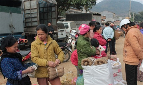Miến dong Nguyễn Huệ được nhiều người tiêu dùng lựa chọn. Miến dong Nguyễn Huệ được nhiều người tiêu dùng lựa chọn.