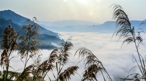 Biển mây trên đèo Tằng Quái ảnh 2 Biển mây trên đèo Tằng Quái ảnh 2