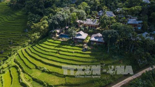 Khu du lịch sinh thái Pù Luông – Bá Thước đang dần trở thành điểm đến hấp dẫn với du khách yêu thích loại hình du lịch thiên nhiên cộng đồng với những bản người Mường, Thái cùng núi rừng và những thửa ruộng bậc thang tuyệt đẹp. Ảnh: Trọng Đạt – TTXVN Khu du lịch sinh thái Pù Luông – Bá Thước đang dần trở thành điểm đến hấp dẫn với du khách yêu thích loại hình du lịch thiên nhiên cộng đồng với những bản người Mường, Thái cùng núi rừng và những thửa ruộng bậc thang tuyệt đẹp. Ảnh: Trọng Đạt – TTXVN