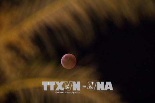Nguyệt thực toàn phần được quan sát tại Bethlehem, Khu Bờ Tây đêm 27/7. Ảnh: THX/ TTXVN Nguyệt thực toàn phần được quan sát tại Bethlehem, Khu Bờ Tây đêm 27/7. Ảnh: THX/ TTXVN Nguyệt thực toàn phần được quan sát tại Jerusalem đêm 27/7. THX/ TTXVN Nguyệt thực toàn phần được quan sát tại Bethlehem, Khu Bờ Tây đêm 27/7. Ảnh: THX/ TTXVN Nguyệt thực toàn phần được quan sát tại Bethlehem, Khu Bờ Tây đêm 27/7. Ảnh: THX/ TTXVN Nguyệt thực toàn phần được quan sát tại Jerusalem đêm 27/7. THX/ TTXVN