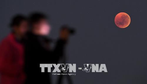 Nguyệt thực toàn phần được quan sát tại Melbourne, Australia đêm 27/7. Ảnh: AFP/ TTXVN Nguyệt thực toàn phần được quan sát tại Melbourne, Australia đêm 27/7. Ảnh: AFP/ TTXVN