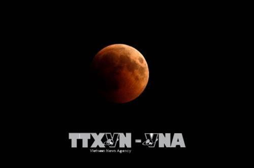 Nguyệt thực toàn phần được quan sát tại Amman, Jordan đêm 27/7. Ảnh: THX/ TTXVN Nguyệt thực toàn phần được quan sát từ Nam Tangerang, Indonesia đêm 27/7. Ảnh: THX/ TTXVN Nguyệt thực toàn phần được quan sát tại Amman, Jordan đêm 27/7. Ảnh: THX/ TTXVN Nguyệt thực toàn phần được quan sát từ Nam Tangerang, Indonesia đêm 27/7. Ảnh: THX/ TTXVN