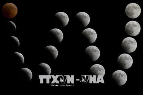 Nguyệt thực toàn phần được quan sát tại Bethlehem, Khu Bờ Tây đêm 27/7. Ảnh: THX/ TTXVN Nguyệt thực toàn phần được quan sát tại Bethlehem, Khu Bờ Tây đêm 27/7. Ảnh: THX/ TTXVN Nguyệt thực toàn phần được quan sát tại Jerusalem đêm 27/7. THX/ TTXVN Nguyệt thực toàn phần được quan sát tại Bethlehem, Khu Bờ Tây đêm 27/7. Ảnh: THX/ TTXVN Nguyệt thực toàn phần được quan sát tại Bethlehem, Khu Bờ Tây đêm 27/7. Ảnh: THX/ TTXVN Nguyệt thực toàn phần được quan sát tại Jerusalem đêm 27/7. THX/ TTXVN