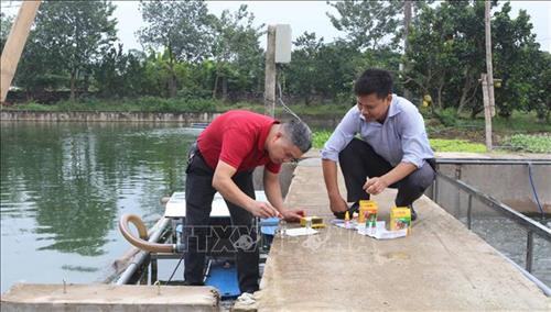 Kiểm tra chất lượng nước tại mô hình nuôi cá ứng dụng công nghệ "sông trong ao" của anh Trần Thái Hữu, xã Mỹ Thọ, huyện Bình Lục, Hà Nam. Ảnh: Nguyễn Chinh - TTXVN Kiểm tra chất lượng nước tại mô hình nuôi cá ứng dụng công nghệ "sông trong ao" của anh Trần Thái Hữu, xã Mỹ Thọ, huyện Bình Lục, Hà Nam. Ảnh: Nguyễn Chinh - TTXVN