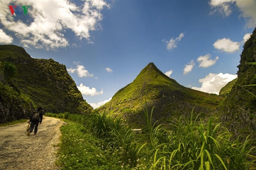 Giữa đại ngàn hoang sơ, rộng lớn, sự xuất hiện của con người bỗng trở nên thật thân thuộc và gần gũi.