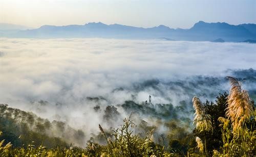 Biển mây nhìn từ trên đèo Tằng Quái. Biển mây nhìn từ trên đèo Tằng Quái.