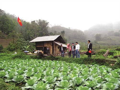 Tham quan, học hỏi mô hìnhtrồng rau của các hộ đồng bào Tày ở thôn Bản Nghè