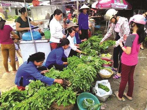 Rau trồng từ trang trại được bày bán tại các chợ trên địa bàn.