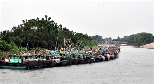 Sáng 19/10/2016, sau khi đi vào vùng biển ngoài khơi tỉnh Quảng Ninh, bão số 7 đã suy yếu thành áp thấp nhiệt đới. Theo Văn phòng Ban Chỉ huy Phòng chống thiên tai và Tìm kiếm cứu nạn tỉnh Quảng Ninh, đến 14 giờ ngày 19/10, toàn tỉnh Quảng Ninh chưa có bất kỳ thiệt hại nào do bão số 7 gây ra. Hiện các lực lượng chức năng tại các địa phương đang tiếp tục theo sát diễn biễn của hoàn lưu áp thấp nhiệt đới, tổ chức phương án trực đối phó với mọi tình huống; chuẩn bị các phương tiện, thiết bị, vật tư, hậu cần nhu yếu phẩm thiết yếu và sẵn sàng lực lượng theo đúng phương châm “4 tại chỗ”...Ảnh: Văn Đức- TTXVN Sáng 19/10/2016, sau khi đi vào vùng biển ngoài khơi tỉnh Quảng Ninh, bão số 7 đã suy yếu thành áp thấp nhiệt đới. Theo Văn phòng Ban Chỉ huy Phòng chống thiên tai và Tìm kiếm cứu nạn tỉnh Quảng Ninh, đến 14 giờ ngày 19/10, toàn tỉnh Quảng Ninh chưa có bất kỳ thiệt hại nào do bão số 7 gây ra. Hiện các lực lượng chức năng tại các địa phương đang tiếp tục theo sát diễn biễn của hoàn lưu áp thấp nhiệt đới, tổ chức phương án trực đối phó với mọi tình huống; chuẩn bị các phương tiện, thiết bị, vật tư, hậu cần nhu yếu phẩm thiết yếu và sẵn sàng lực lượng theo đúng phương châm “4 tại chỗ”...Ảnh: Văn Đức- TTXVN