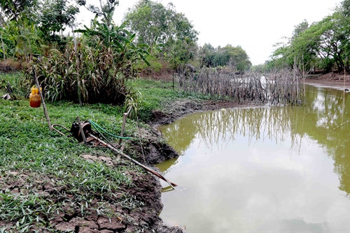 Nhiều hộ dân ở Cà Mau đã phá đập hoặc sử dụng máy bơm tự ý đưa nước mặn từ sông vào đồng ruộng để nuôi tôm, khiến cho tình trạng xâm nhập mặn ở vùng quy hoạch ngọt hóa ngày càng nghiêm trọng. Anh: Kim Há-TTXVN Nhiều hộ dân ở Cà Mau đã phá đập hoặc sử dụng máy bơm tự ý đưa nước mặn từ sông vào đồng ruộng để nuôi tôm, khiến cho tình trạng xâm nhập mặn ở vùng quy hoạch ngọt hóa ngày càng nghiêm trọng. Anh: Kim Há-TTXVN
