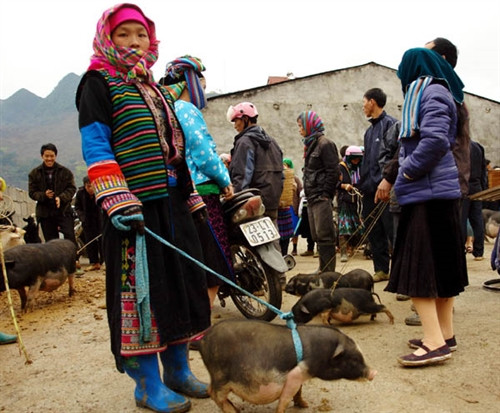 Chợ phiên Mèo Vạc (Hà Giang). Ảnh: TTXVN