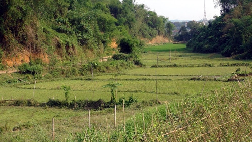 Khu đất để xây khu tái định cư mới đã bị bỏ hoang từ lâu. Khu đất để xây khu tái định cư mới đã bị bỏ hoang từ lâu.