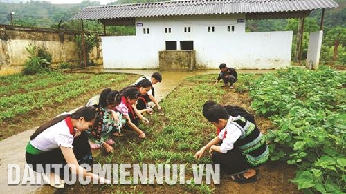 Ngoài giờ học, học sinh Trường phổ thông dân tộc nội trú trung học cơ sở huyện Văn Chấn hăng say chăm sóc vườn rau của trường