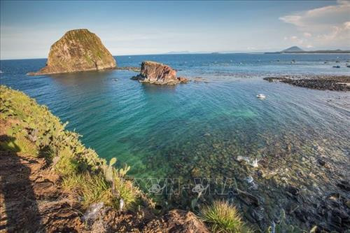 Cái tên Hòn Yến do trước kia nơi đây có rất nhiều chim yến về làm tổ và Hòn Yến mang vẻ đẹp mộc mạc, hoang sơ. Ảnh: Trọng Đạt - TTXVN Vẻ tuyệt đẹp của hệ sinh thái san hô tự nhiên tại Hòn Yến khi thủy triều rút. Ảnh: Trọng Đạt - TTXVN Trong khoảng thời gian thủy triều rút, rặng san hô lộ trên mặt nước với nhiều màu sắc và hình thù lạ mắt, tạo nên con đường san hô nối dài cách bờ khoảng 150m và đi thẳng tới Hòn Yến, thu hút rất đông du khách tò mò khám phá. Ảnh: Trọng Đạt - TTXVN Những lúc thủy triều xuống, chỉ cần lội bộ ra biển một đoạn là có thể ngắm nhìn và chạm được vào rặng san hô ở Hòn Yến rất dễ dàng. Ảnh: Trọng Đạt - TTXVN Các loại san hô đủ hình dáng, màu sắc có thể nhìn thấy dưới lớp nước mỏng. Ảnh: Trọng Đạt - TTXVN Nét hoang sơ của hệ sinh thái san hô tự nhiên tại địa danh Hòn Yến. Quần thể Hòn Yến được công nhận Di tích Danh thắng cấp quốc gia vào tháng 4/2018. Ảnh: Trọng Đạt - TTXVN Những lúc thủy triều xuống, chỉ cần lội bộ ra biển một đoạn là có thể ngắm nhìn và chạm được vào san hô dễ dàng. Tuy nhiên, vài năm trở lại đây, lượng khách du lịch tự phát đến tham quan quá lớn đã gây hư hại nhiều cho hệ sinh thái san hô biển cùng môi trường và cảnh quan. Ảnh: Trọng Đạt - TTXVN