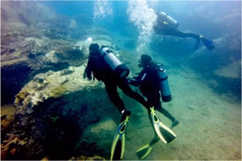 Thế giới san hô hiện ra lung linh, đẹp rực rỡ trong ánh sáng khúc xạ qua làn nước trong xanh.