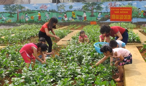 Học sinh trường mầm non Đông Sơn, xã Đông Sơn, thành phố Tam Điệp thu hoạch rau tại "Vườn rau sạch cho con". Ảnh: Hải Yến - TTXVN