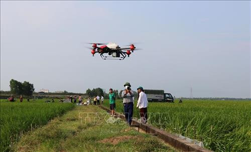 Người dân xã Yên Phụ sử dụng máy bay không người lái phun thuốc trừ sâu cho lúa. Ảnh: Đinh Văn Nhiều-TTXVN Người dân xã Yên Phụ sử dụng máy bay không người lái phun thuốc trừ sâu cho lúa. Ảnh: Đinh Văn Nhiều-TTXVN