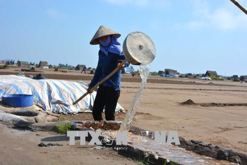 Sản xuất muối ở huyện Giao Thủy. Ảnh Công Luật-TTXVN Sản xuất muối ở huyện Giao Thủy. Ảnh Công Luật-TTXVN