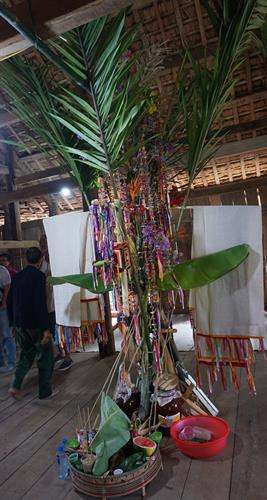 Cây Xăng Bók không thể thiếu được trong nghi lễ Pang A. Ảnh: Nam Sương