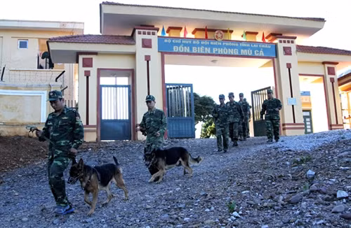 Biên phòng Mù Cả “4 cùng” với dân bản ảnh 2