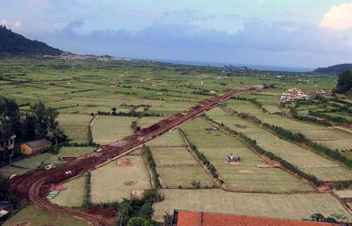 Hiện nay, diện tích trồng tỏi của toàn huyện là 336 ha, mỗi năm cho thu hoạch trung bình hơn 800 tấn sản phẩm.