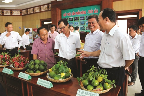Giới thiệu, quảng bá các sản phẩm nông sản của bà con nông dân tỉnh Trà Vinh. Giới thiệu, quảng bá các sản phẩm nông sản của bà con nông dân tỉnh Trà Vinh.