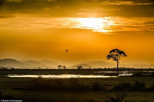 Vẻ đẹp nên thơ của Việt Nam qua ống kính nhiếp ảnh gia Pháp ảnh 6