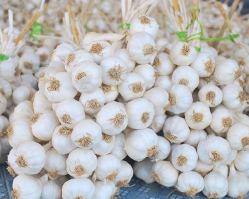 Những món quà quê Quảng Ngãi khiến người đi xa nhớ mãi không quên ảnh 5 Những món quà quê Quảng Ngãi khiến người đi xa nhớ mãi không quên ảnh 5