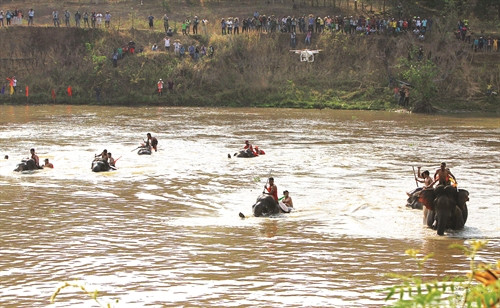 Thi voi vượt sông Sêrêpốk