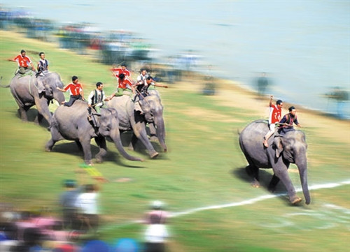 Hội đua voi của đồng bào Ê đê ở huyện Lắk (Đắk Lắk). Ảnh: Ngọc Tâm