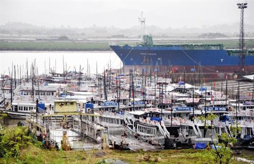 Chấm dứt hoạt động nhà bè ăn uống trên vịnh Hạ Long ảnh 1