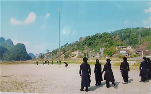 Tung còn ngày xuân. Tung còn ngày xuân.