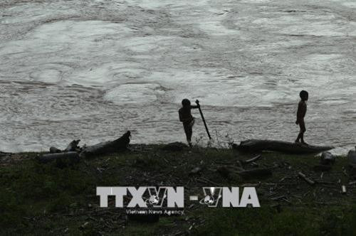 Những đứa trẻ không biết tai họa có thể ập đến lúc nào khi vớt củi trong mùa mưa bão. Ảnh: Phan Tuấn Anh - TTXVN Những đứa trẻ chờ đợi những tấm gỗ, thân cây trôi theo dòng nước. Ảnh: Phan Tuấn Anh - TTXVN Những đứa trẻ không biết tai họa có thể ập đến lúc nào khi vớt củi trong mùa mưa bão. Ảnh: Phan Tuấn Anh - TTXVN Những đứa trẻ chờ đợi những tấm gỗ, thân cây trôi theo dòng nước. Ảnh: Phan Tuấn Anh - TTXVN Dù nước sông chảy xiết, luôn rình rập hiểm nguy nhưng những đứa trẻ vẫn lao ra vớt củi. Ảnh: Phan Tuấn Anh - TTXVN Những đứa trẻ không biết tai họa có thể ập đến lúc nào khi vớt củi trong mùa mưa bão. Ảnh: Phan Tuấn Anh - TTXVN Những đứa trẻ chờ đợi những tấm gỗ, thân cây trôi theo dòng nước. Ảnh: Phan Tuấn Anh - TTXVN Những đứa trẻ không biết tai họa có thể ập đến lúc nào khi vớt củi trong mùa mưa bão. Ảnh: Phan Tuấn Anh - TTXVN Những đứa trẻ chờ đợi những tấm gỗ, thân cây trôi theo dòng nước. Ảnh: Phan Tuấn Anh - TTXVN Dù nước sông chảy xiết, luôn rình rập hiểm nguy nhưng những đứa trẻ vẫn lao ra vớt củi. Ảnh: Phan Tuấn Anh - TTXVN