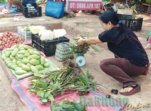Lan rừng được bày bán như “rau” ở chợ Lan rừng được bày bán như “rau” ở chợ