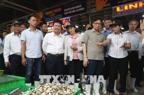 Phó thủ tướng Chính Phủ Vũ Đức Đam cùng đoàn công tác thị sát tình hình kinh doanh buôn bán của bà con tiểu thương và công tác đảm bảo an toàn vệ sinh thực phẩm tại chợ đầu mối Bình Điền, Thành phố Hồ Chí Minh. Ảnh: Phương Vy-TTXVN Phó thủ tướng Chính Phủ Vũ Đức Đam cùng đoàn công tác thị sát tình hình kinh doanh buôn bán của bà con tiểu thương và công tác đảm bảo an toàn vệ sinh thực phẩm tại chợ đầu mối Bình Điền, Thành phố Hồ Chí Minh. Ảnh: Phương Vy-TTXVN