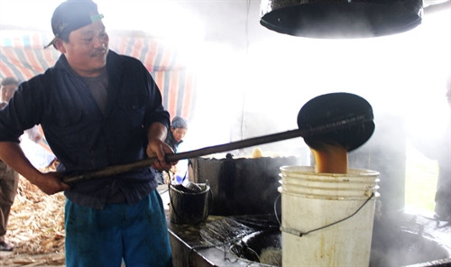 Mỗi ngày lò mật mía của gia đình chị Hiền, anh Hòa sản xuất 3 phi mật, mang lại giá trị kinh tế rất cao Mỗi ngày lò mật mía của gia đình chị Hiền, anh Hòa sản xuất 3 phi mật, mang lại giá trị kinh tế rất cao