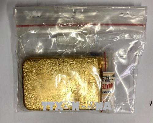 Tang vật vi phạm bị cơ quan chức năng phát hiện, tạm giữ. Ảnh: Anh Tuấn - TTXVN.