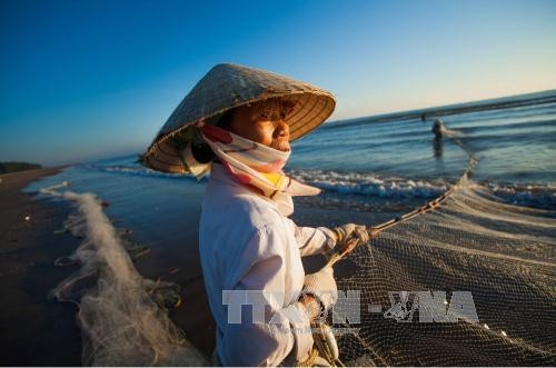 Kéo rùng - nghề truyền thống độc đáo của ngư dân xứ Thanh ảnh 11