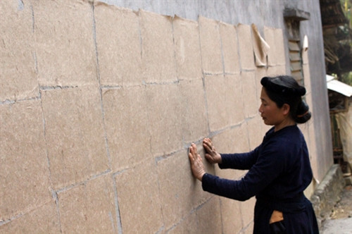 Nghề làm giấy bản ở Trường Hà ảnh 9