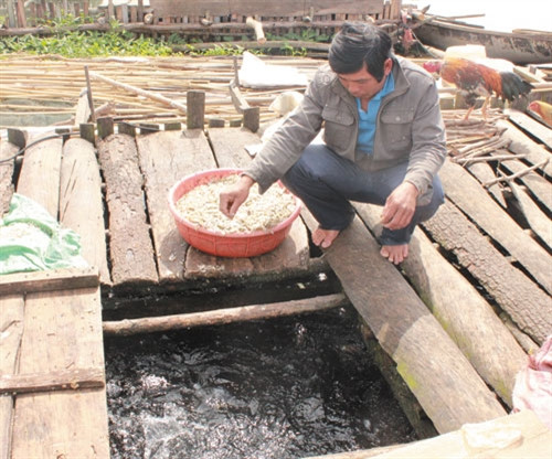 Nhiều hộ dân đã tận dụng mặt nước hồ thủy điện để nuôi cá lồng Nhiều hộ dân đã tận dụng mặt nước hồ thủy điện để nuôi cá lồng