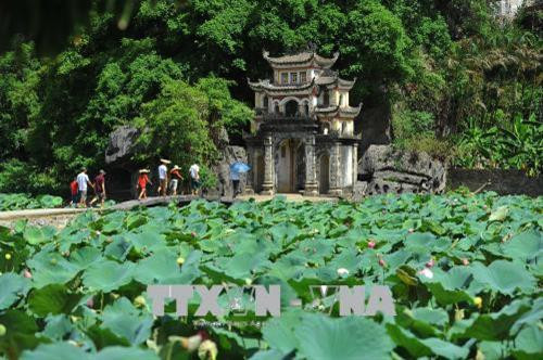 Nhiều du khách nước ngoài tìm đến chiêm ngắm vẻ đẹp hoang sơ, tự nhiên trong mùa sen ở Tam Cốc - Bích Động. Ảnh: Minh Đức - TTXVN Nhiều du khách nước ngoài tìm đến chiêm ngắm vẻ đẹp hoang sơ, tự nhiên trong mùa sen ở Tam Cốc - Bích Động. Ảnh: Minh Đức - TTXVN