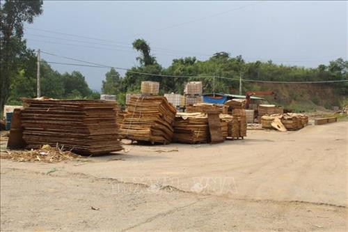 Huyện miền núi Như Xuân, tỉnh Thanh Hóa, đẩy mạnh trồng rừng để lấy nguyên liệu sản xuất lâm sản và khuyến khích các doanh nghiệp đầu tư phát triển nghề sản xuất lâm sản. Ảnh: Nguyễn Đình Nam - TTXVN Huyện miền núi Như Xuân, tỉnh Thanh Hóa, đẩy mạnh trồng rừng để lấy nguyên liệu sản xuất lâm sản và khuyến khích các doanh nghiệp đầu tư phát triển nghề sản xuất lâm sản. Ảnh: Nguyễn Đình Nam - TTXVN