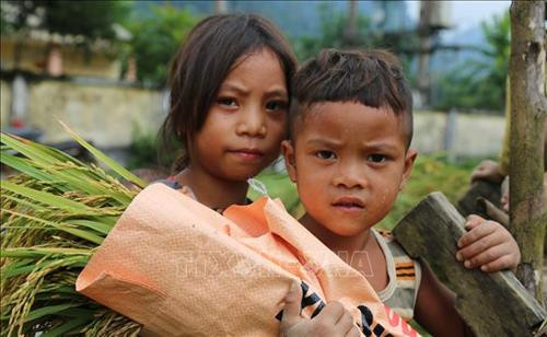 Trẻ em đồng bào Rục giúp đỡ bố mẹ thu hoạch lúa. Ảnh: TTXVN